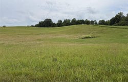 1227 Sand Lick Road, Columbia, KY 42728