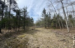 450 S Brown Trail, Indian River, MI 49749