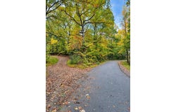 Bud Mountain Road, BUD, WV 24617