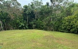 Nuevo, Bayamón, PR 00956