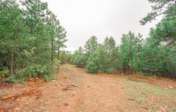 538 Rugby Mines Rd, Walsenburg, CO 81089