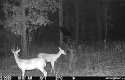Goose Platter Road, Monetta, SC 29105
