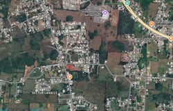 Cacao, Quebradillas, PR 00678