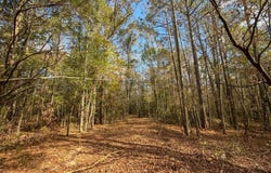 Co Rd 359, Maplesville, AL 36750