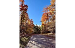 2215 ROBINSON RIDGE, BELLAIRE, MI 49615