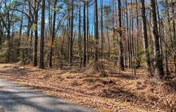 Tolbert Road, Temple, GA 30153