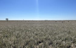 County 1 Lane, Boone, CO 81025
