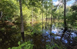 416 Summers Lane, Brookhaven, MS 39601