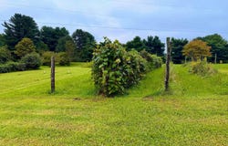 101 US Highway 33, Shade, OH 45776