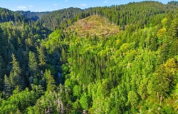 Upper North Fork Rd, Florence, OR 97439