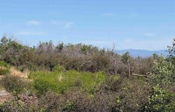 8250 Road, Crawford, CO 81415