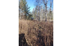 3455W Hwy. 182, Springstead, WI 54547