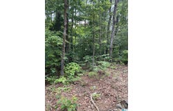 MITCHELL DRIVE lot: 3, VANCE, AL 35111
