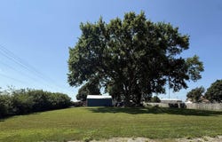 307 S Mulberry Street, Richland, IA 52585