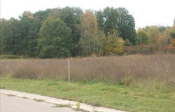 0000 Birch Meadows Lane, Handy Township, MI 48836