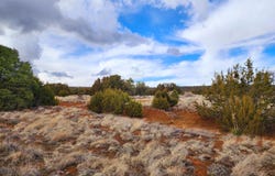 45 Hickory Lane, Concho, AZ 85924