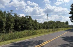 Highway 556, Scranton, SC 29591
