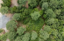 179 Coffee Tree Trail, Broken Bow, OK 74728