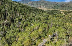 8550 N Uinta Drive, Oakley, UT 84055