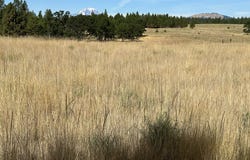 3 HORST Ln, Goldendale, WA 98620