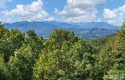 375 Daly Drive, Clyde, NC 28721