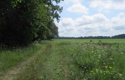 Capac Road, Armada, MI 48005