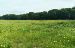 CR494 N, Chilton, TX 76632