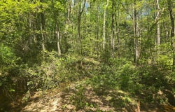 Hilltop Lane, Toccoa, GA 30577