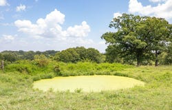 Dewdrop Road, Blue Eye, MO 65611