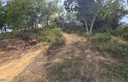 Camaceyes, Aguadilla, PR 00603