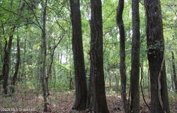 6 Star Landing Road, Nesbit, MS 38651