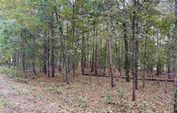 Ellen lot: 5, Higden, AR 72067