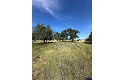 123 Lipan Loop, Harper, TX 78631