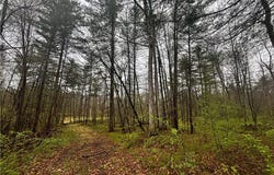 2093 Scott Road, Lindley, NY 14858