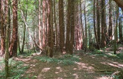 200 Joseph Lane, Crescent City, CA 95531