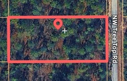 TREE TOP ROAD, DUNNELLON, FL 34432