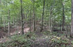 TBD Ankrapp Road, Columbus, MI 48063