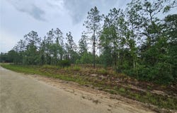231 SE 146TH Terrace, WILLISTON, FL 32696