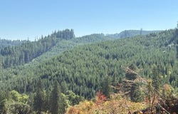 Van Horn (140) Rd, Alsea, OR 97324