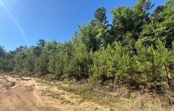 Hwy 43, Poplarville, MS 39470