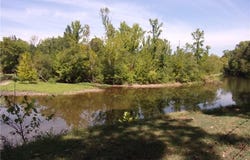 12579 Beneux Bottom RD, Mulberry, AR 72947