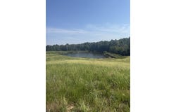 1285 John Lansden Rd, Nebo, KY 42441