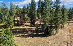 821 Fred Burr Road, Victor, MT 59875