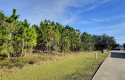 N STATE Street, BUNNELL, FL 32110