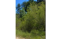 104 Antlers Way, Georgetown, SC 29440