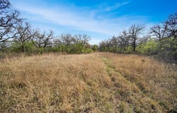 Slusher Road, Jacksboro, TX 76458