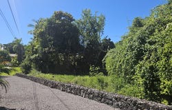 KAHAULOA RD, Captain Cook, HI 96704