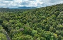 41 S Shore Road, Inlet, NY 13360