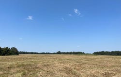 3196 Raborn Rd, Magnolia, MS 39652