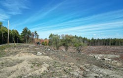 19 N Horseback Road, Burnham, ME 04922